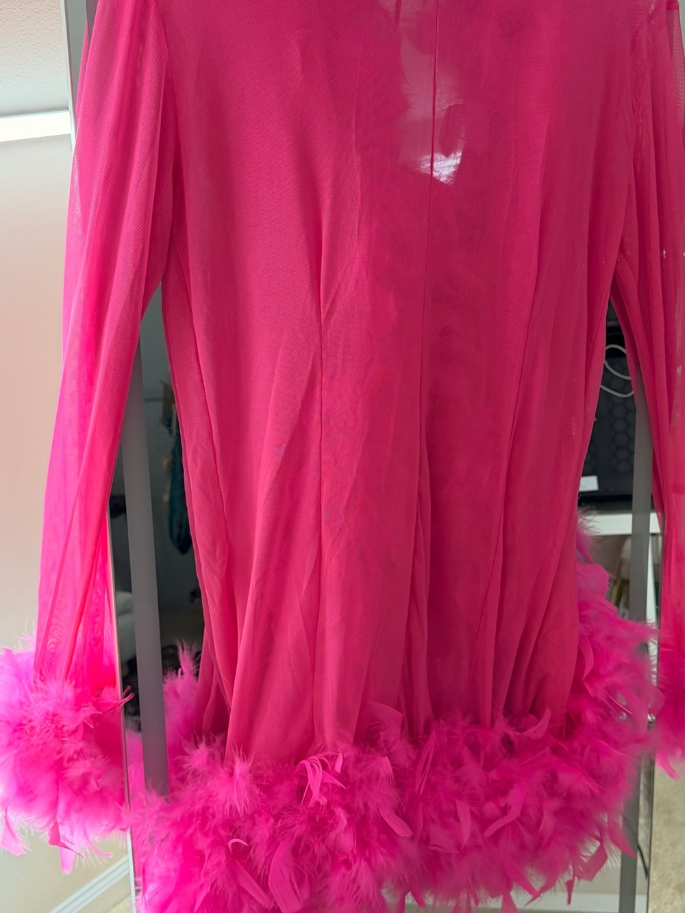 Hot Pink Feather Trim Sheer Robe with Satin Tie - Picture 12 of 12